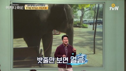 우리가 믿는대로 뇌도 움직인다