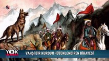 Vahşi bir kurdun hüzünlendiren hikayesi