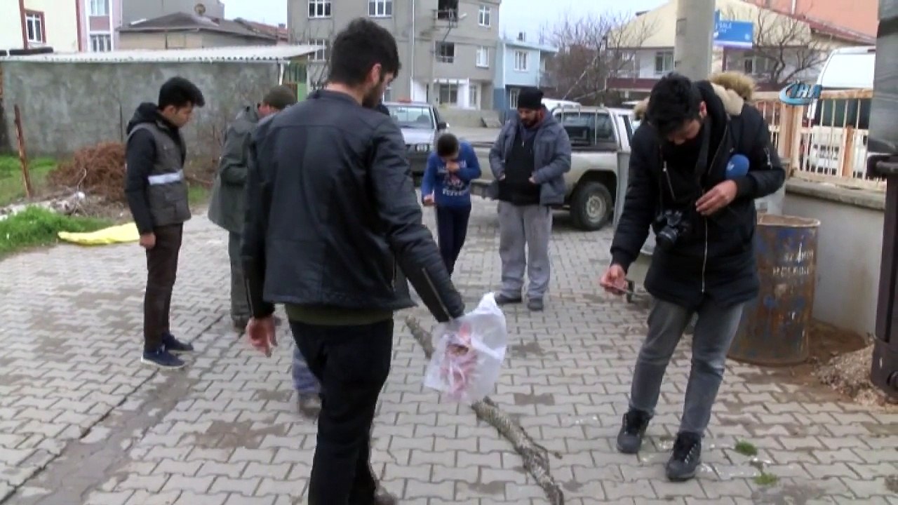 Tekirdağ'da Piton Paniği!