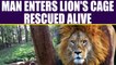 Man crawls into a cage of Lion, later rescued by zoo security, Watch Video | Oneindia News