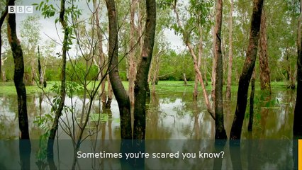 Face to face with a crocodile while collecting its eggs