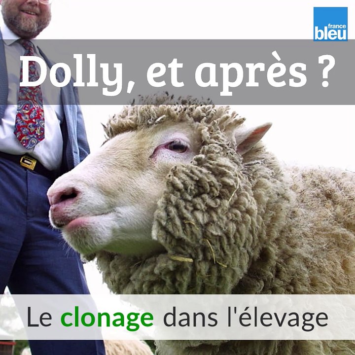 Dolly, et après ?