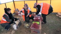 Kilis Belediyesi, basın mensupları için çadır kurup yemek ikramında bulundu - KİLİS