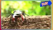 CBeebies   How strong are insects   The Let's Go Club - YouTube