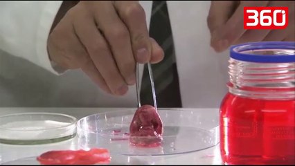 Shkencëtarët krijojnë njeriun e parë dele, ky studim po... (360video)