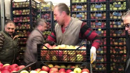 Afrin'deki kahraman Mehmetçik için 25 ton Eğirdir Elması
