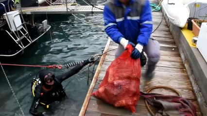 Muğla'da deniz dibi temizliği sürüyor - MUĞLA