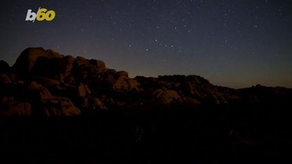 Nocturnal Animals Use the Stars and Milky Way as Personal GPS
