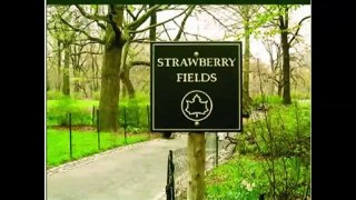 ♫♫♫Sean Yox / The Streamers - Strawberry Fields Revisited - Sean Yox & The Streamers