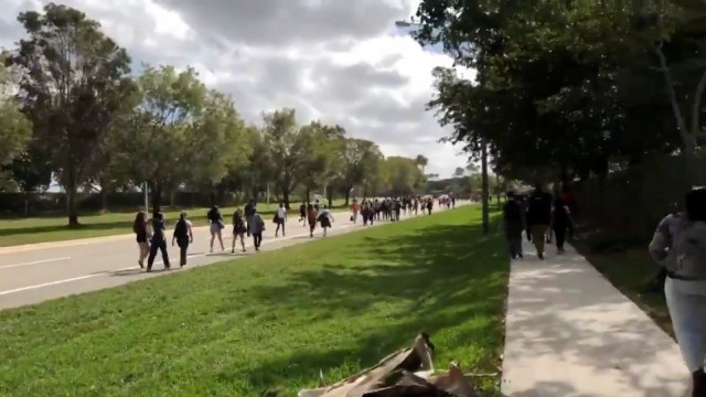 Hundreds of Florida students stage walkout in protest at gun laws