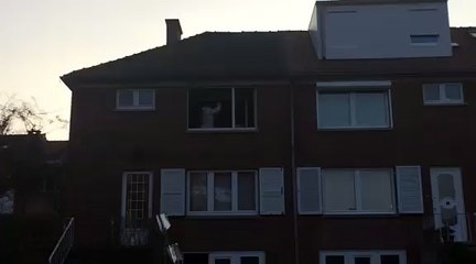 400 plants de cannabis saisis à Woluwe-Saint-Pierre