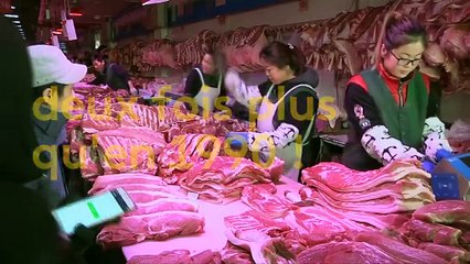 Chine : les "usines à viande" envahissent le marché du porc