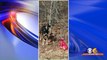 Dog Found Tied to Tree With Note Attached to Collar Finds New Home