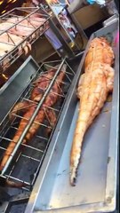 Big snake and big crocodile above grill  أفعى كبيرة وتمساح كبير فوق شواية