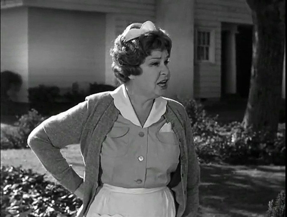 HAZEL · S01 E25 · Them New Neighbors Is Nice video Dailymotion