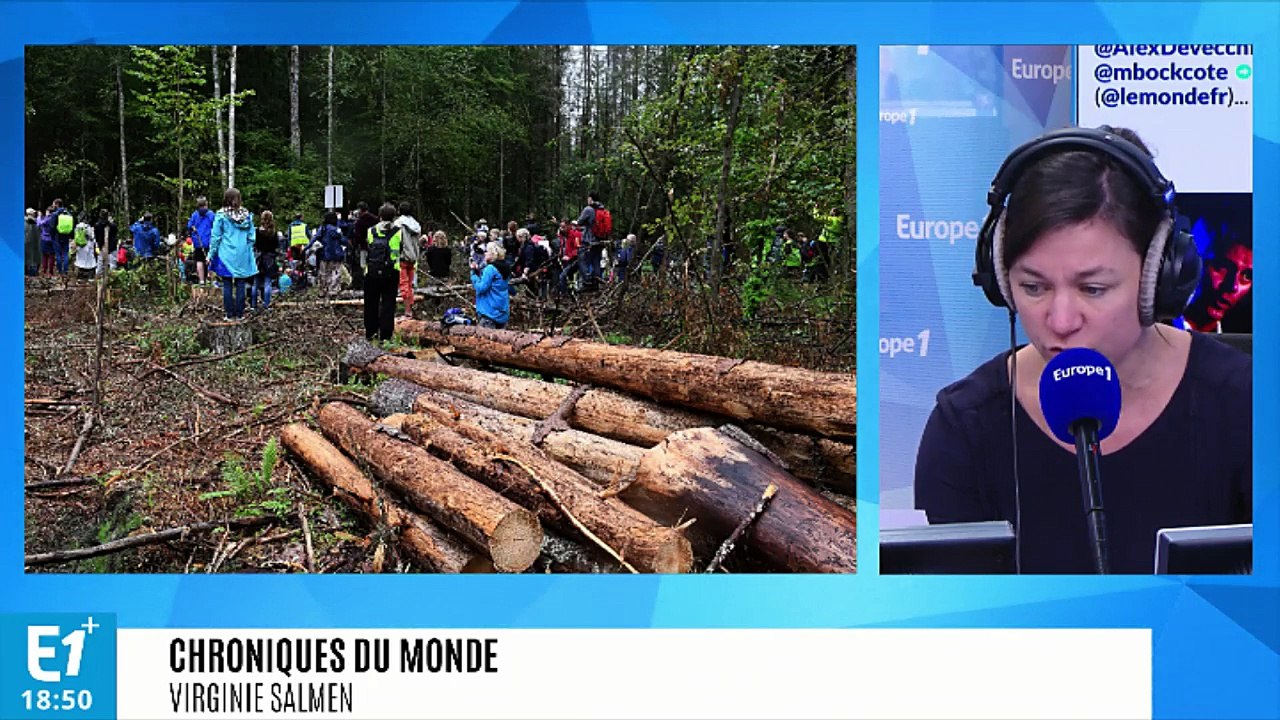 Pologne : la plus vieille forêt primaire d'Europe menacée