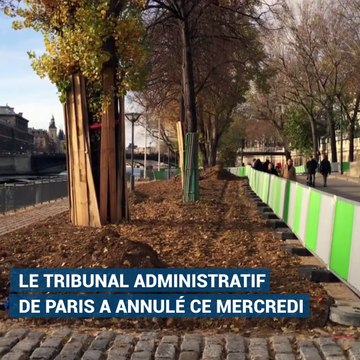 Quel avenir pour les voies sur berge à Paris après l’annulation de la piétonnisation ?
