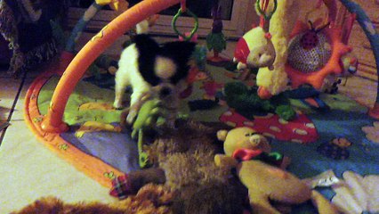 nouage jeux le 20 0218 (0)