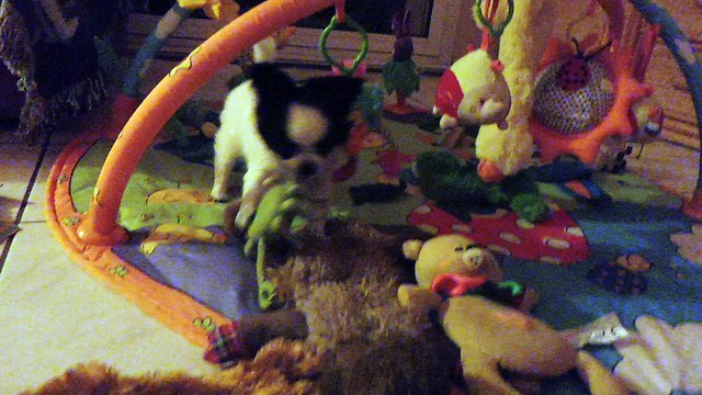 nouage jeux le 20 0218 (0)