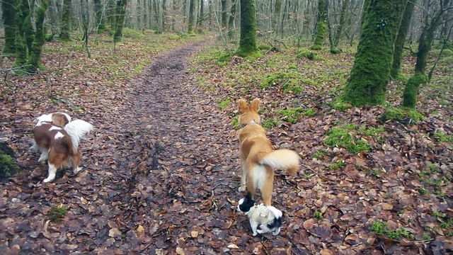 promenade du 20 0218