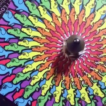 Laissez-vous hypnotiser par ces dessins qui prennent vie en tournant