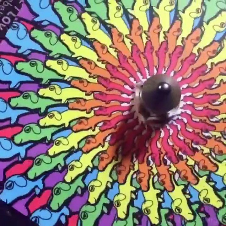 Laissez-vous hypnotiser par ces dessins qui prennent vie en tournant