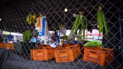 Detrás de cámara: Río Abajo Los Años Dorados