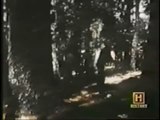 Animal Planet - Bigfoot (Sasquatch)