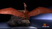 Animal Planet - Flying Monsters Dragons (Cryptids) of Papua New Guinea (Pterosaur)