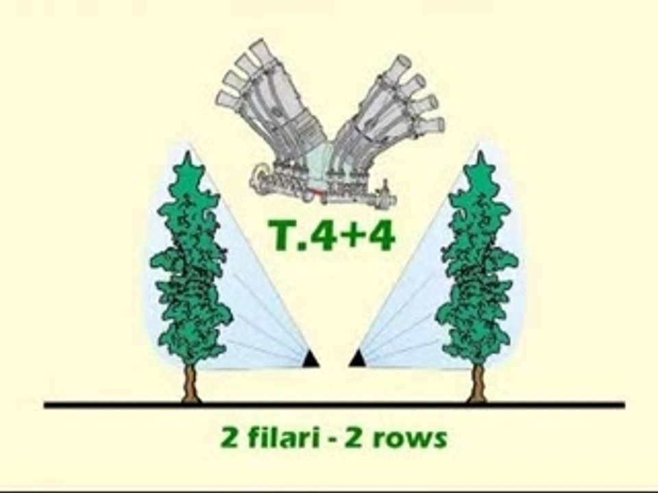 Plus45_T4+4