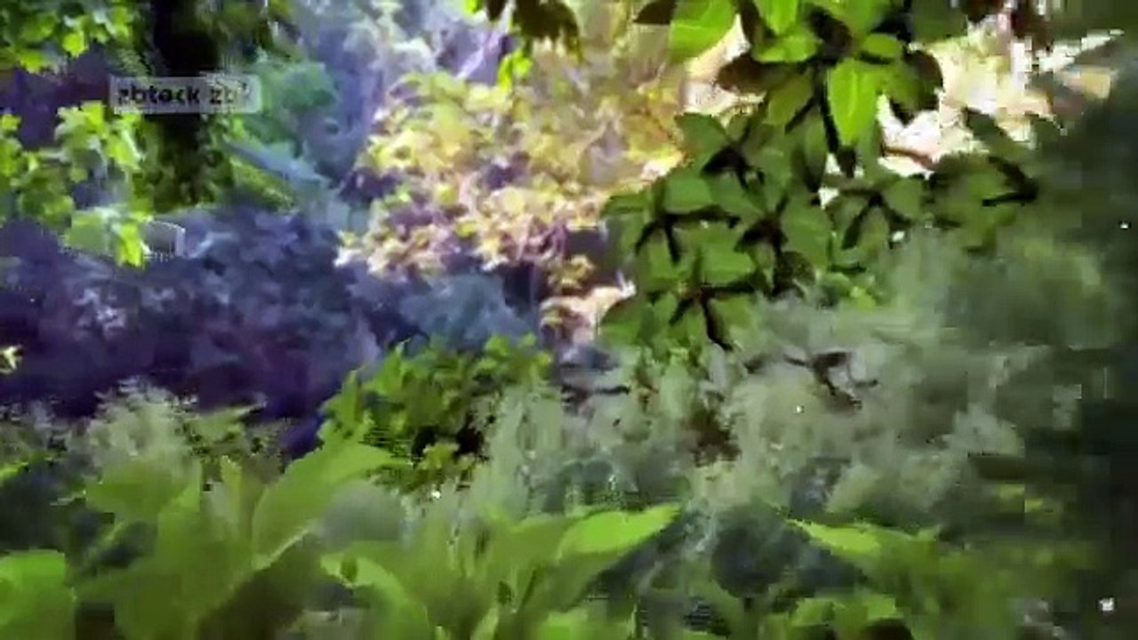 Coração Indomável - Capítulo 28 - MARICRUZ DESCOBRE QUE ALESSANDRO É SEU PAI - Qua 21-02-18 - 2-2