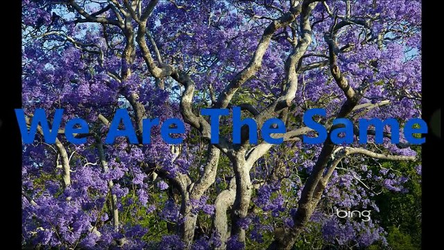 We Are The Same (January 2000 - March 2000)(Generic: April 2000 - March 2003)