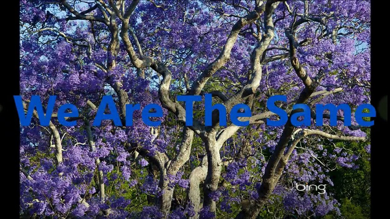 We Are The Same (January 2000 - March 2000)(Generic: April 2000 - March 2003)