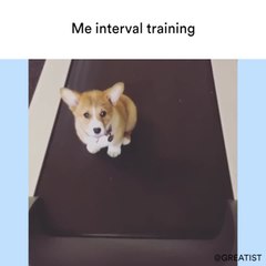 Intervals