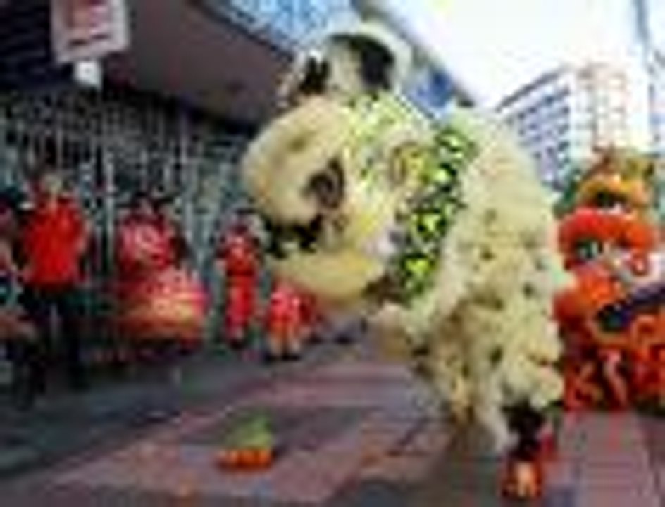 Lions and dragons come visiting