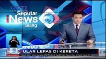 Ular Sanca Lepas di Kereta Ekonomi