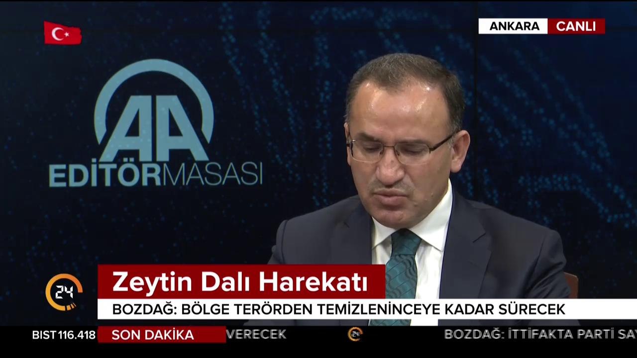 Zeytin Dalı