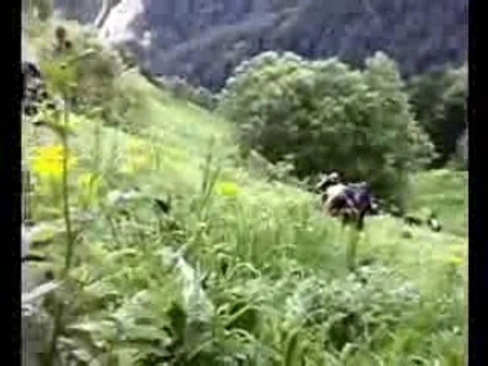 الشهيد حمزة الشيشاني