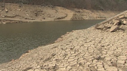 심각한 가뭄...농업용수는 물론 식수도 위협 / YTN