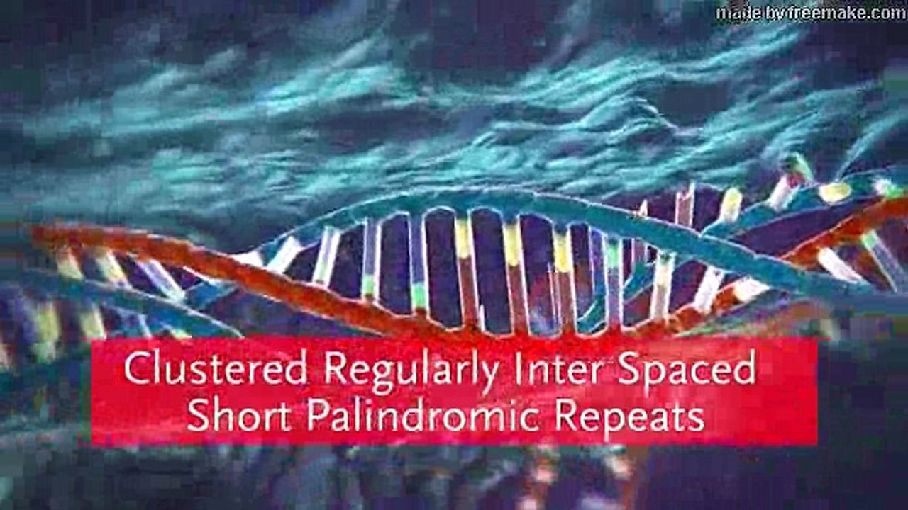 Rewriting The Human Genome