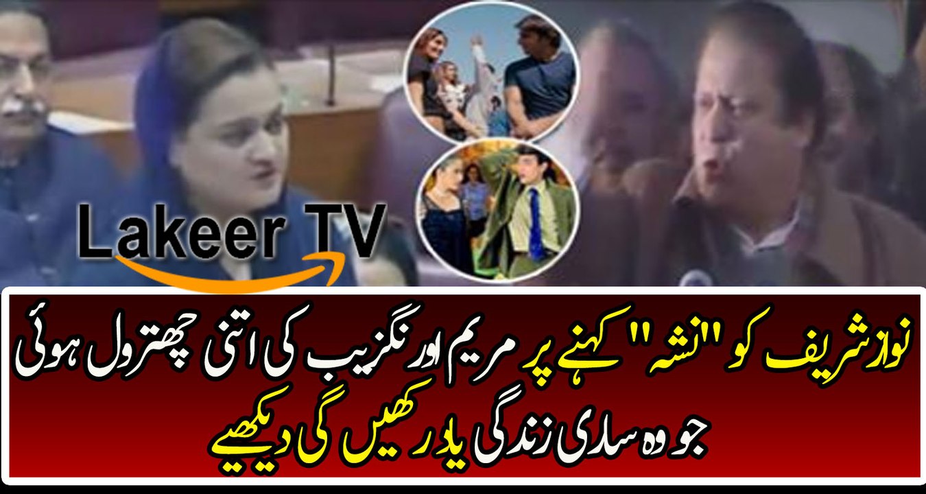Great Insult of Marriyum Aurangzeb on Social Media