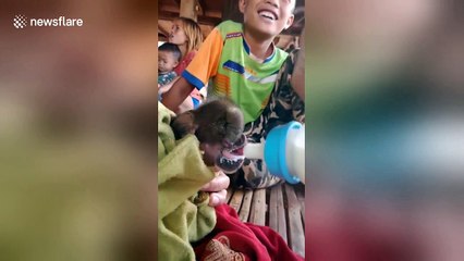 Mutant baby pig born with 'elephant trunk'