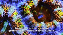 Chasing Coral - Climat en péril : la preuve par l'image | Bande-annonce officielle [HD] | Netflix