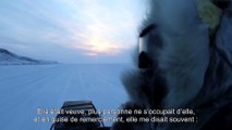 Iqaluit (Canada) > température moyenne en hiver -23°