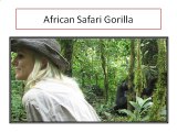 Africa Gorilla Safari and Adventures Tours in Africa
