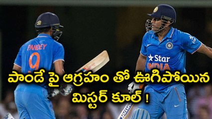 IND VS SA : Dhoni Loses His Cool Gets Angry At Manish Pandey