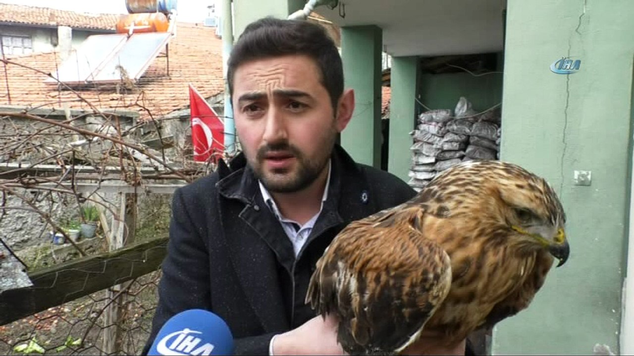 Gece bahçesindeki hayvanı tavuk sandı, şahin çıktı