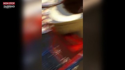 Essonne : Il trouve une famille de souris dans une gigoteuse pour bébé (vidéo)