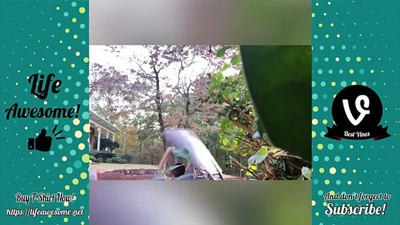 Try Not To Laugh Watching Funny Video Compilation 2018