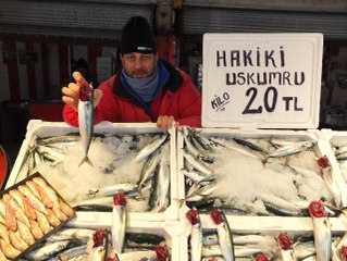Uskumru Hamsinin Tahtını Sallıyor